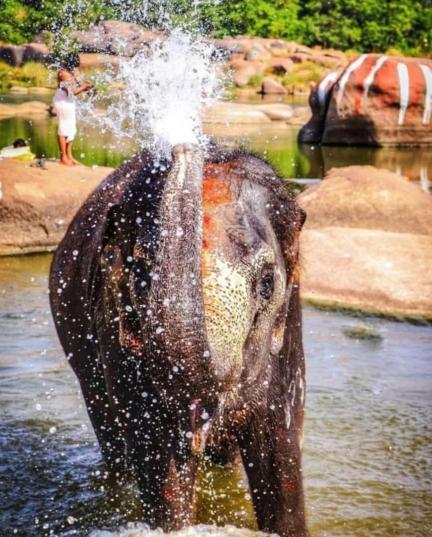 Mamatha Guest Inn Hampi Eksteriør bilde